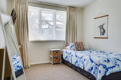 Photo of property in 29 Alma Street, Renwick, 7204