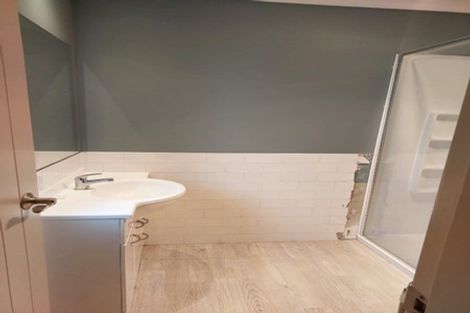 Photo of property in 44d Willoughby Street, Whitiora, Hamilton, 3200