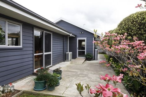 Photo of property in 1b Wellington Street, Feilding, 4702