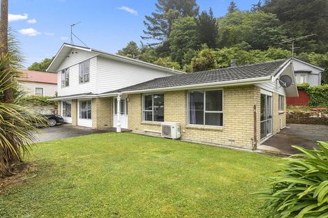Photo of property in 17a Buccleugh Street, North East Valley, Dunedin, 9010