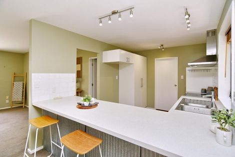 Photo of property in 42a Ward Street, Addington, Christchurch, 8024