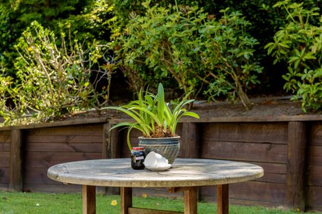 Photo of property in 41 La Colina Place, Bethlehem, Tauranga, 3110