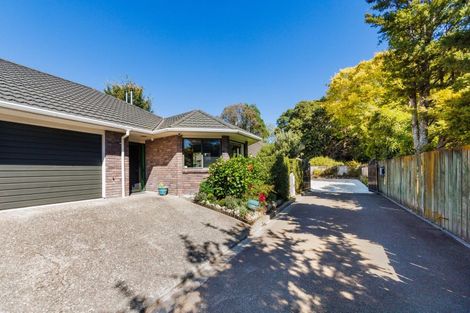 Photo of property in 198c Vogel Street, Roslyn, Palmerston North, 4414