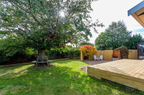 Photo of property in 6 Montclare Avenue, Ilam, Christchurch, 8041