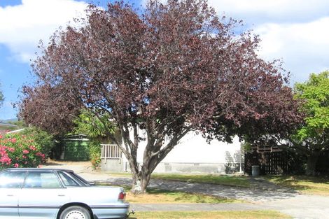 Photo of property in 6 Omaha Grove, Totara Park, Upper Hutt, 5018