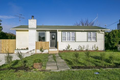 Photo of property in 60 Brandon Street, Featherston, 5710