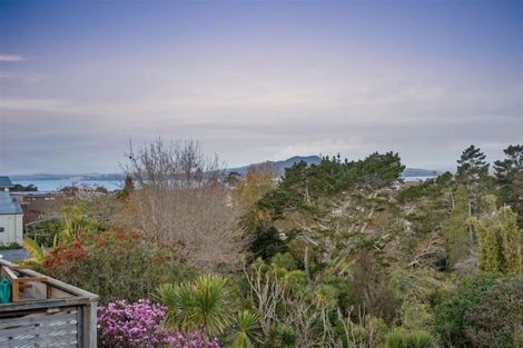 Photo of property in 44 Peter Terrace, Castor Bay, Auckland, 0620