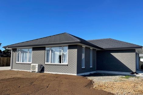 Photo of property in 112 Hinemoa Street, Levin, 5510