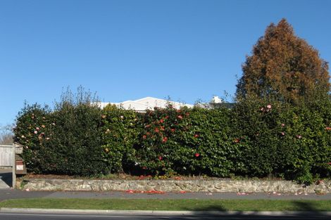 Photo of property in 112 Naylor Street, Hamilton East, Hamilton, 3216