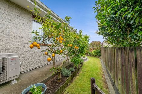 Photo of property in 30b Tukapa Street, Westown, New Plymouth, 4310
