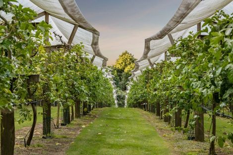 Photo of property in 241 Rea Road, Tahawai, Katikati, 3178