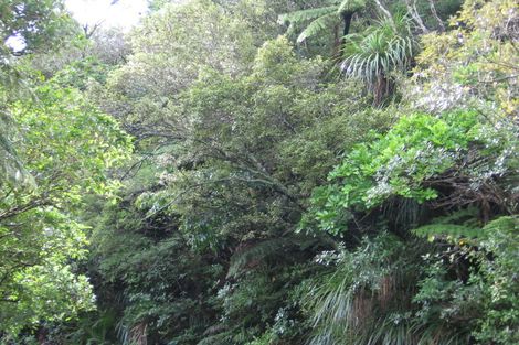 Photo of property in 266 Shaw Road, Titirangi, Auckland, 0604