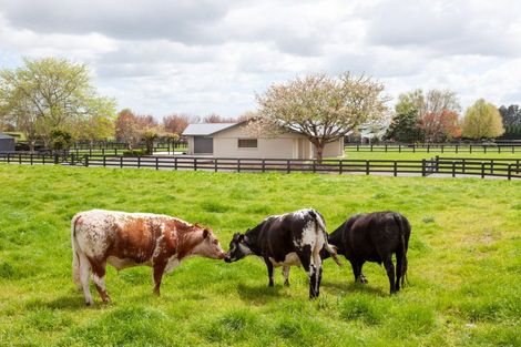 Photo of property in 378 Hinuera Road, Matamata, 3472