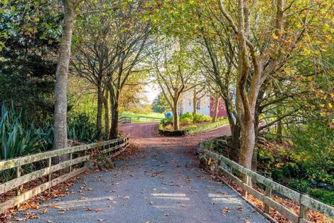 Photo of property in 31 Plane Tree Lane Lane, Ruatangata West, 0185