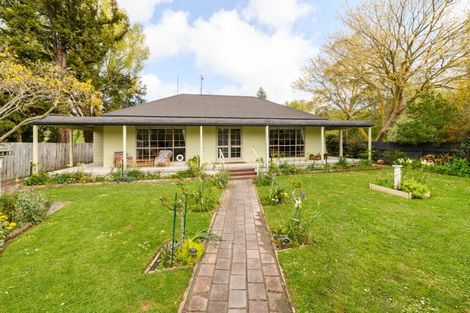 Photo of property in 185 Oxford Street, Ashhurst, 4810