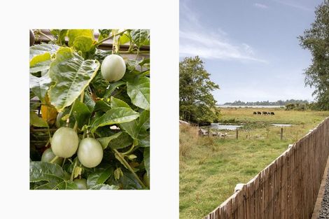 Photo of property in 9 Barossa Way, Brookfield, Tauranga, 3110