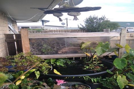 Photo of property in 25a Reeve Street, Levin, 5510