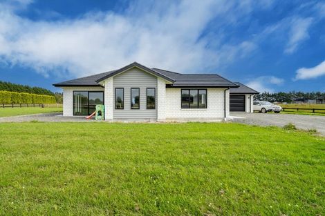 Photo of property in 91 Mika Way, Lorneville, Invercargill, 9874