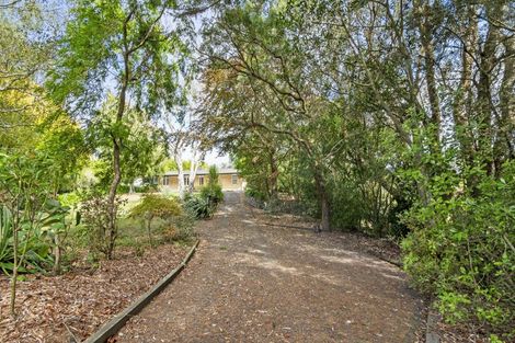 Photo of property in 273 Parewanui Road, Bulls, 4894