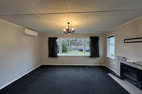 Photo of property in 19 Hobson Street, Levin, 5510