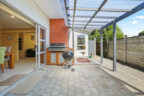 Photo of property in 29 Wymer Terrace, Chartwell, Hamilton, 3210