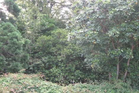 Photo of property in 38 Onuku Road, Akaroa, 7520