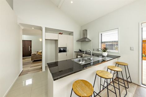 Photo of property in 17 Hirimate Place, Flat Bush, Auckland, 2019