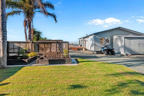 Photo of property in 21 Lincoln Street, Mangawhai Heads, Mangawhai, 0505