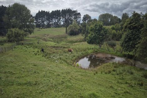 Photo of property in 47 Codlin Road, Waiuku, 2683
