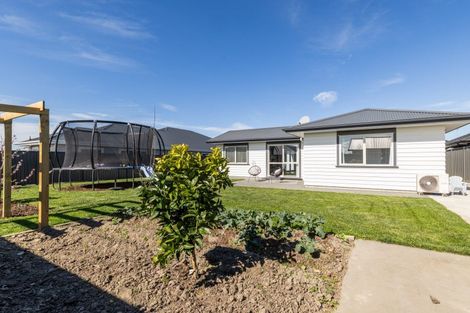 Photo of property in 49 Matariki Avenue, Frimley, Hastings, 4120