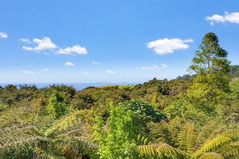Photo of property in 595 Boat Harbour Road, Whenuakite, Whitianga, 3591