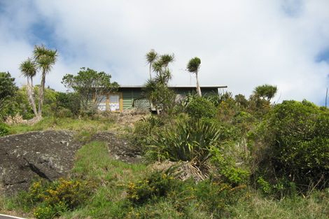 Photo of property in 101 Piha Road, Piha, New Lynn, 0772