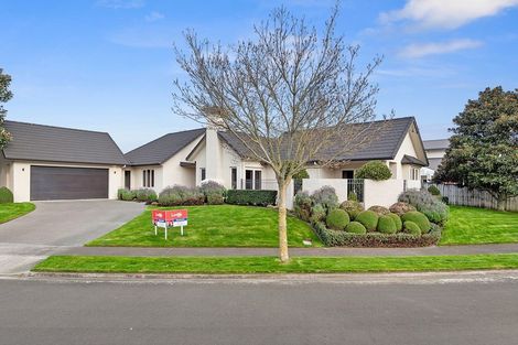 Photo of property in 6 The Esplanade, Huntington, Hamilton, 3210