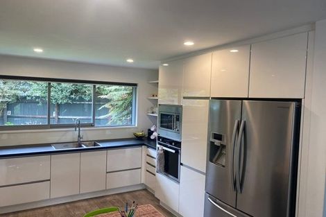 Photo of property in 3a Birchs Road, Prebbleton, 7604