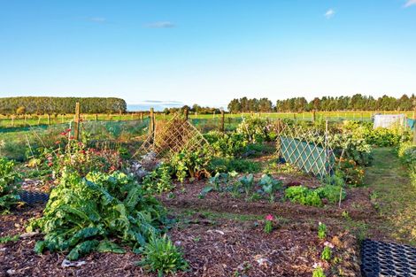 Photo of property in 135 Military Road, Otakiri, Whakatane, 3192