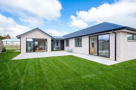 Photo of property in 252 Korimako Drive, Te Awamutu, 3800