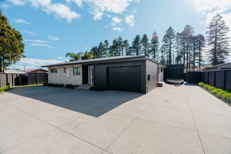 Photo of property in 22 Matipo Place, Edgecumbe, 3120