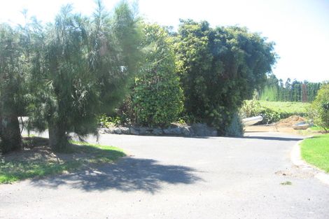 Photo of property in 339 Plummers Point Road, Whakamarama, Tauranga, 3172