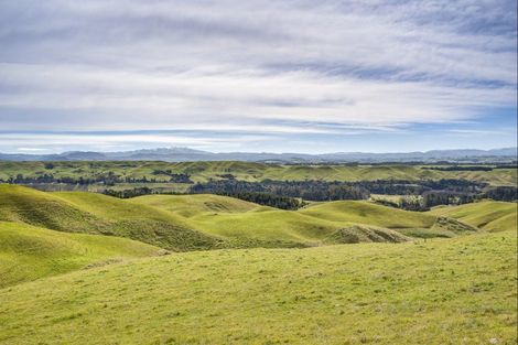 Photo of property in 1233 Kereru Road, Maraekakaho, Hastings, 4171