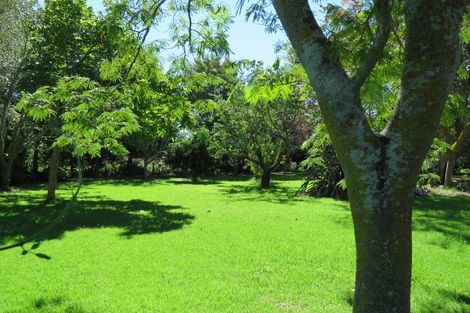 Photo of property in 302 Tucker Road, Makauri, Gisborne, 4071