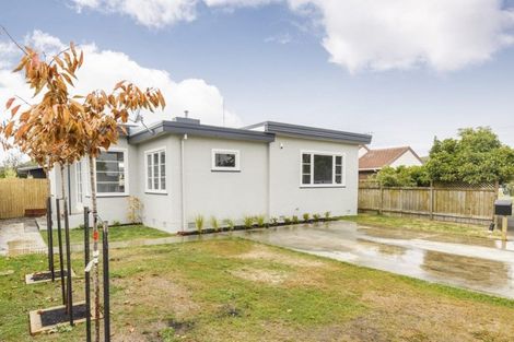 Photo of property in 99 Fitzroy Street, Terrace End, Palmerston North, 4410