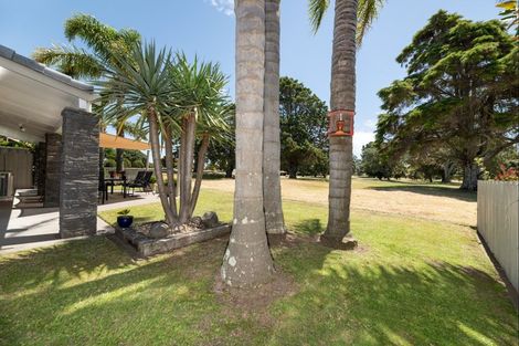 Photo of property in 17 Berescourt Place, Mount Maunganui, 3116