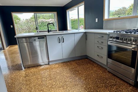 Photo of property in 137 Winchester Street, Ashhurst, 4810