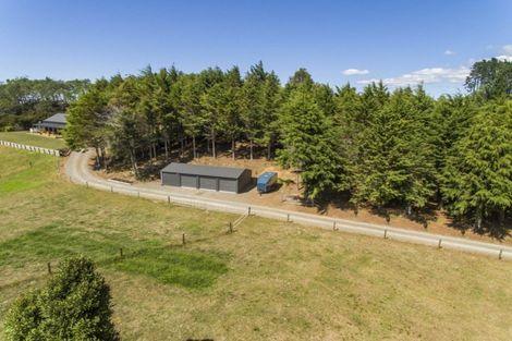 Photo of property in 315 Lund Road, Aongatete, Katikati, 3178