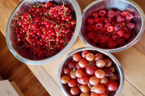 Photo of property in 20 Fairview Terrace, Sawyers Bay, Port Chalmers, 9023