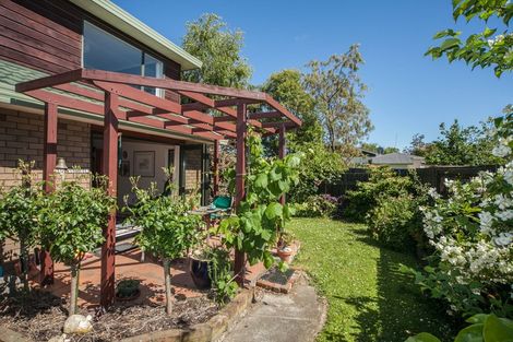 Photo of property in 29a Rongopai Street, Palmerston North, 4414