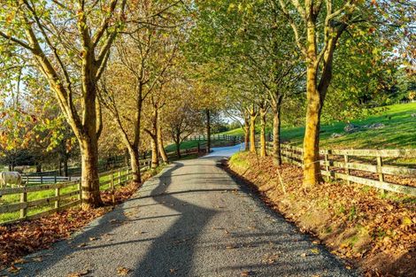 Photo of property in 31 Plane Tree Lane Lane, Ruatangata West, 0185