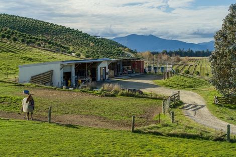 Photo of property in 222 Wrekin Road, Fairhall, Blenheim, 7272