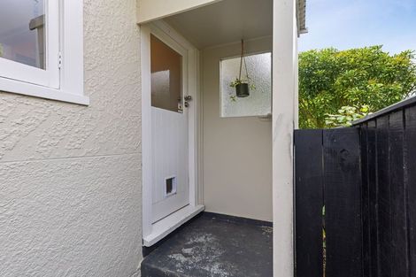Photo of property in 17 Salisbury Avenue, Terrace End, Palmerston North, 4410