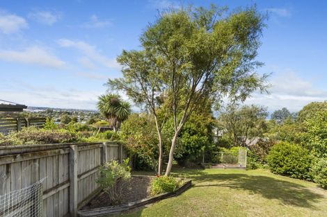 Photo of property in 19 Windsor Terrace, Feilding, 4702